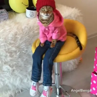 Andi T.