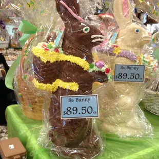 Now that is a chocolate bunny!
