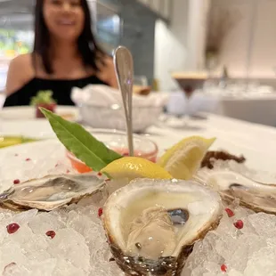 31 OYSTERS*