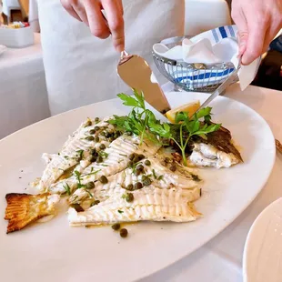 Grilled whole turbotine - delicious!!!!