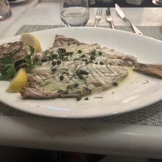 LOUP DE MER, Ionian Sea, Greece