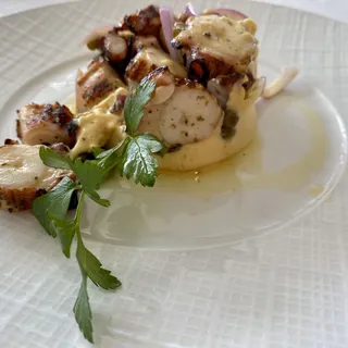 OCTOPUS