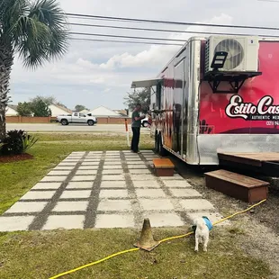 a dog standing in front of a truck