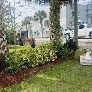 Nice grass and sitting area