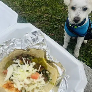 Tacos with cabbage toppings