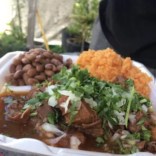 Birria plate