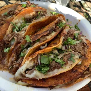 Quesabirria Tacos