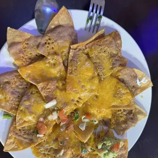 bean &amp; cheese nachos.  served with sour cream, guacamole &amp; pico de gallo "on the side".