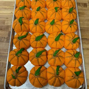 Pumpkin Conchas