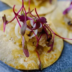 Oyster Tacos