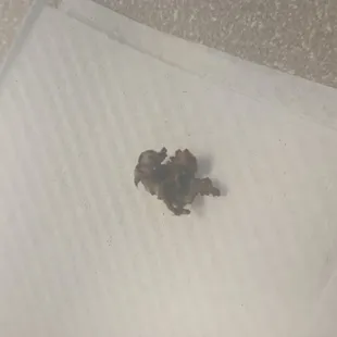 Something I found inside of my steak burrito. I cannot distinguish exactly what it is.