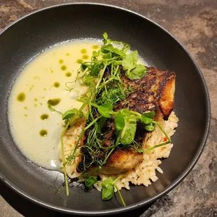My husband&apos;s redfish Risotto. Great! He barely shared.