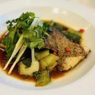 Grilled Kona Kampachi