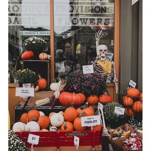 a display of pumpkins