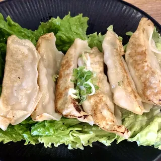Gyoza - Chicken and Vegetable Dumplings
