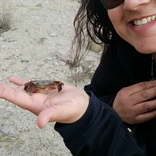 Susan C.