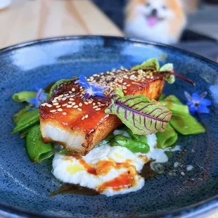Crispy Pork Belly w/ burrata, grilled peas, miso caramel | $19 (GET THIS!)