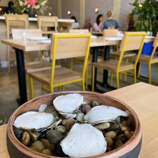 Oysters with white wine vinaigrette foam