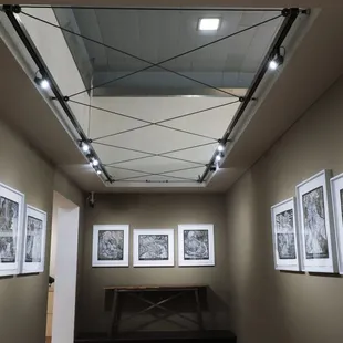 Alice Leora Briggs woodcut prints in the ShadowLands exhibition.