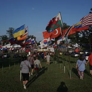 Flags at the entrance