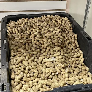 a bin full of peanuts