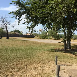 Basketball court