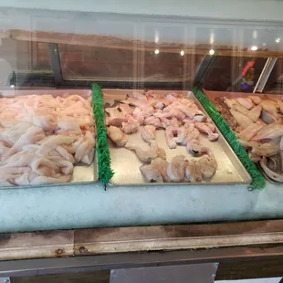 fish case