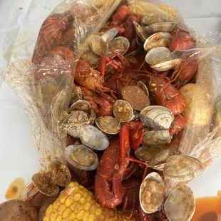 mussels, oysters and mussels, food, shellfish, oysters