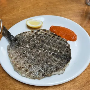 Dorade