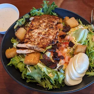 Grilled Chicken Salad