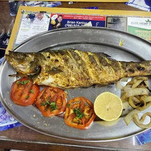 Bronzino fish