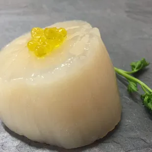 Fresh Scallop