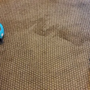 Would you walk barefoot on this carpet?