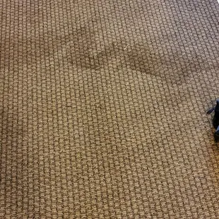 Carpet. Not fit for an animal