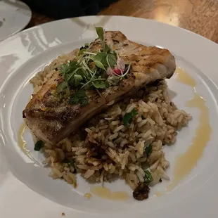 Florida Grouper