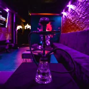 The New Look of Euphoria