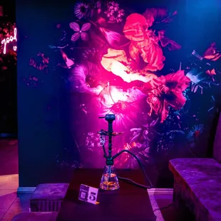 The New Look of Euphoria