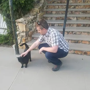 Friendly kitty that greeted us every time we came back to the B&amp;B.