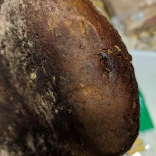 a close up of a piece of bread