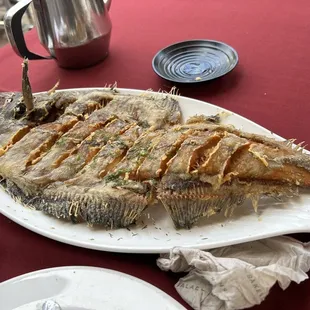 Flounder fish