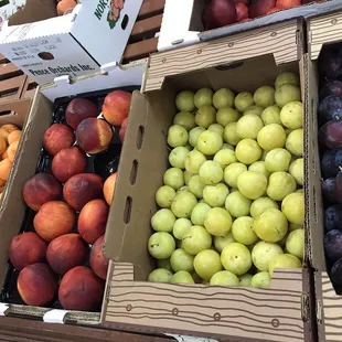 Fruits comes  directly from farmers, all natural