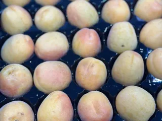 Taylor's Asian Market