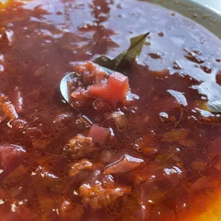 Borscht and Pelmini