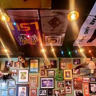 Walking on the ceiling.  Naw.  Just checking all the cool stuff out.