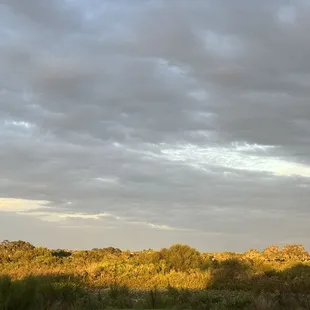 View from patio