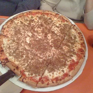 Large pizza, extra sausage!
