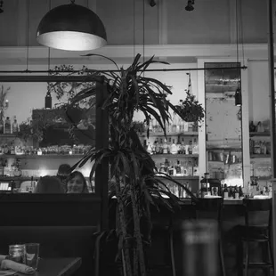 a black and white photo of a bar