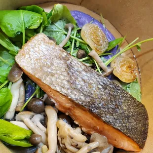 SRW 2020 togo: coho salmon, foraged mushrooms,  ube puree