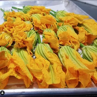 Squash blossoms