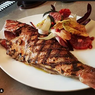 Roasted Wild Red Snapper
